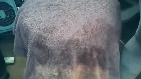 Snapshot of wildman6 chatting on March 26, 2026, 7:19 pm wildman6 online show from March 26, 2026, 7:19 pm