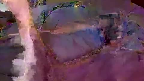 bobby banks online show from February 20, 2026, 5:02 pm