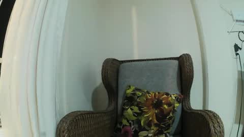 Wild Strawberry online show from February 3, 2025, 2:47 am