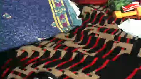 Snapshot of willamyth chatting on February 18, 2025, 8:49 am Willamyth online show from February 18, 2025, 8:49 am