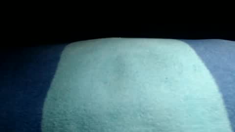 Snapshot of willianel chatting on July 5, 2026, 1:23 am willianel online show from July 5, 2026, 1:23 am