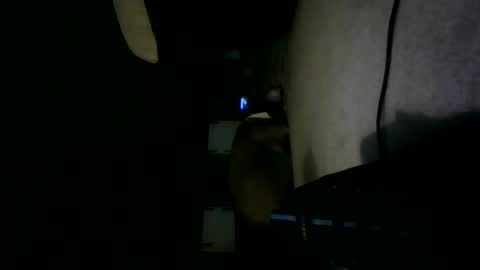 Willhedoher online show from October 15, 2025, 12:27 pm