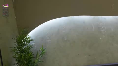 Snapshot of willow_hendrix chatting on March 21, 2026, 11:48 am Ms Willow online show from March 21, 2026, 11:48 am