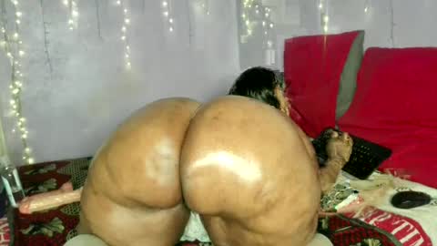 wilmaassylum online show from July 16, 2026, 5:57 am