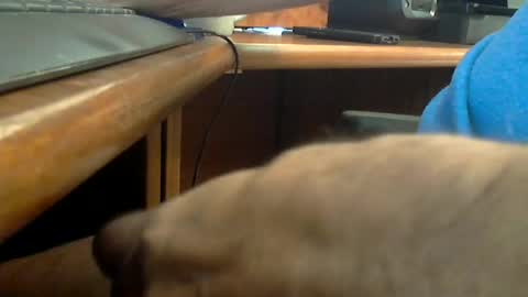 Wineman88886 online show from June 20, 2026, 7:16 pm