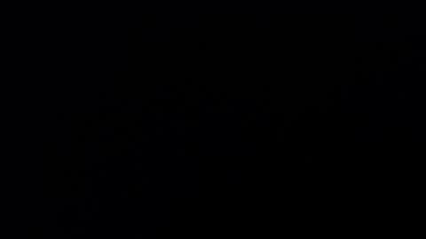 Annie online show from February 19, 2025, 9:03 pm