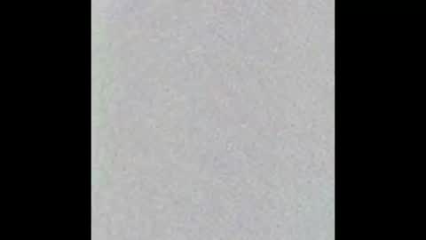 wnfckusohard online show from October 6, 2025, 4:48 pm