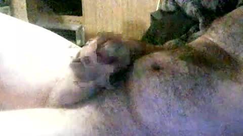 wolfbo6699 online show from February 10, 2026, 6:28 am