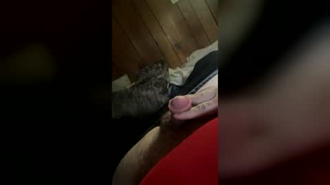 wolfdrose online show from June 30, 2026, 6:42 pm