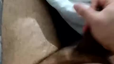 wolfganghanzel online show from April 28, 2026, 4:17 am