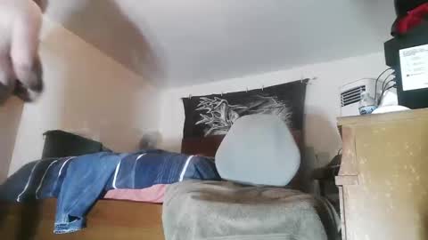 wolfman79 online show from March 24, 2026, 10:42 am