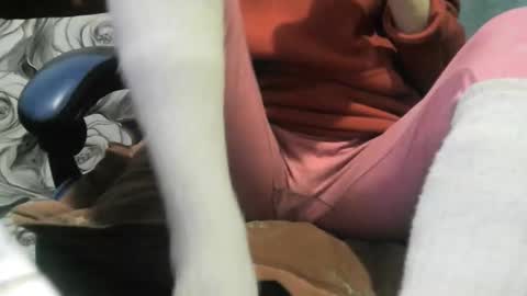 wolfxsnow online show from February 28, 2026, 10:49 am