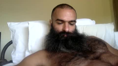 woof_wolf37 online show from February 13, 2026, 3:30 pm