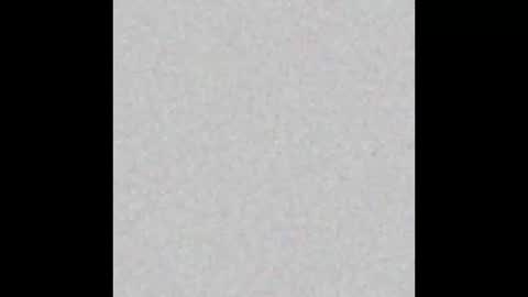 WoofusInGear online show from March 12, 2025, 11:09 am