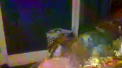 woperator3 online show from January 9, 2025, 1:50 am