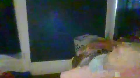 woperator3 online show from January 12, 2025, 10:01 pm