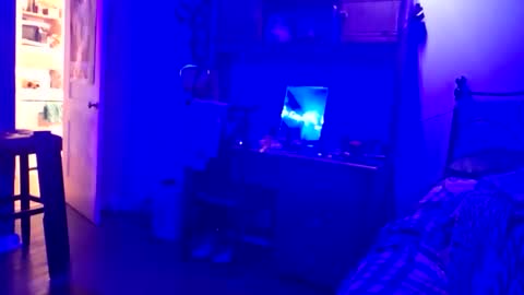 wowsers7 online show from November 16, 2025, 1:11 am