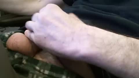 wrangleat0r online show from January 30, 2025, 1:33 am