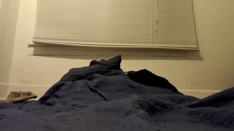 Tslexislut online show from April 17, 2026, 9:34 am