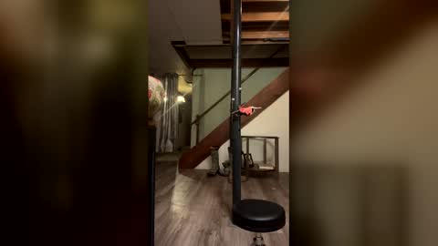 wyattmcc32288 online show from March 2, 2026, 8:10 am