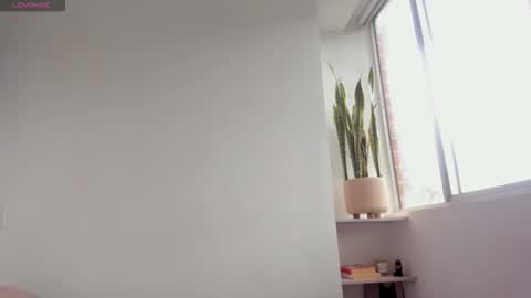 Xavier online show from November 17, 2025, 8:47 pm