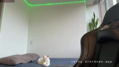 Snapshot of xavier_colleman chatting on May 7, 2026, 10:26 pm Xavier online show from May 7, 2026, 10:26 pm