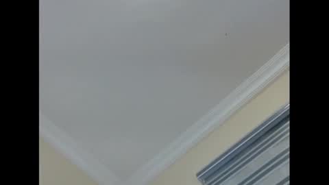 Snapshot of xcreamypussy chatting on January 18, 2025, 10:17 pm xcreamypussy online show from January 18, 2025, 10:17 pm