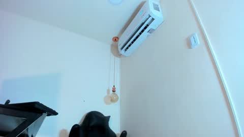 Genesis online show from January 21, 2025, 11:55 pm