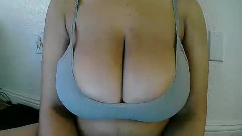 XiaoXiao  online show from January 13, 2026, 12:05 am