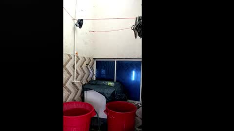 xilongbaby29 online show from October 18, 2025, 1:56 pm