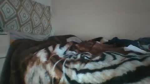 Horny hotty online show from December 7, 2024, 12:13 pm