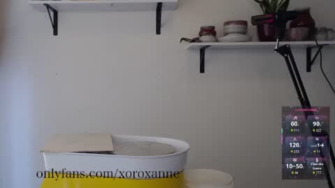 xoroxanne online show from February 11, 2026, 8:36 pm