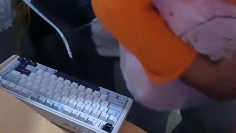 xrokettt online show from November 15, 2025, 7:54 pm