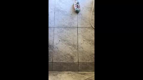 Snapshot of xviktorbr chatting on March 26, 2026, 4:56 pm xviktorbr online show from March 26, 2026, 4:56 pm