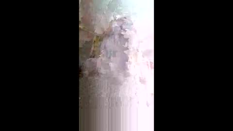 xxjessiebugxx online show from May 14, 2026, 2:29 am
