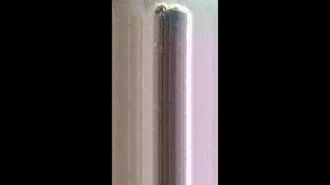 xxjessiebugxx online show from May 20, 2026, 2:40 am