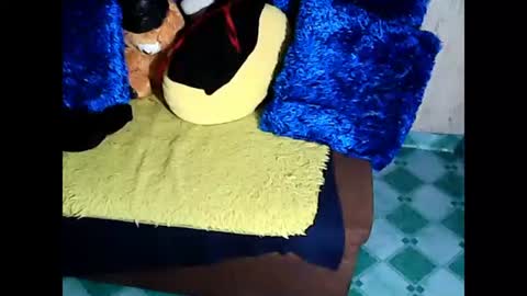 xxloveheart online show from January 12, 2025, 11:36 pm