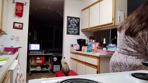 Strawberry Jane online show from February 3, 2026, 4:23 pm