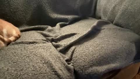 Your Top Favorite online show from December 22, 2025, 5:37 am