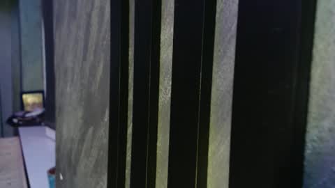 xxxdonpuiuuxxx online show from February 17, 2026, 9:21 pm