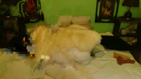 PAMPAM online show from January 13, 2025, 12:24 pm