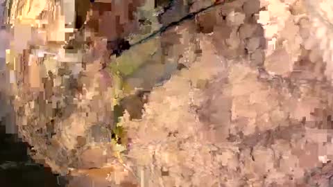 yasminfol online show from March 1, 2025, 2:26 am