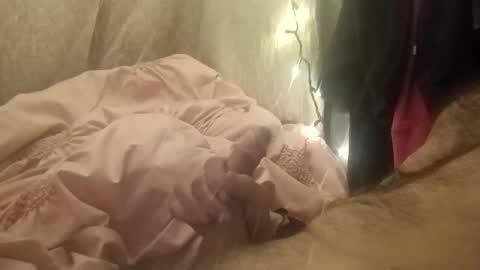 ychey2k8 online show from December 21, 2025, 9:16 am