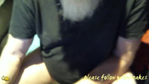 .     y e l l o w s n a k e s       . online show from October 20, 2025, 3:51 am