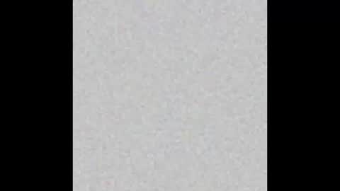 .     y e l l o w s n a k e s       . online show from October 23, 2025, 5:33 pm