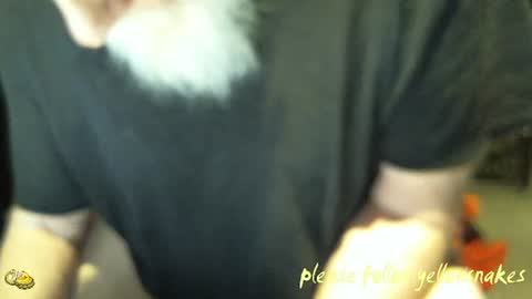 .     y e l l o w s n a k e s       . online show from January 14, 2026, 1:50 pm