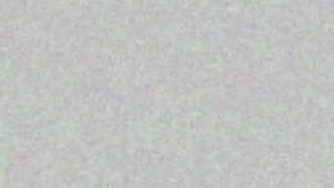 .     y e l l o w s n a k e s       . online show from May 7, 2026, 1:38 pm