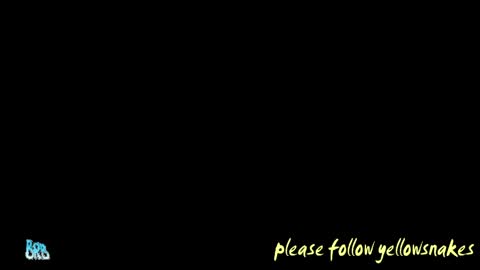 Snapshot of yellowsnakes chatting on May 12, 2026, 5:10 pm . y e l l o w s n a k e s . online show from May 12, 2026, 5:10 pm