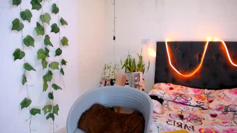 YEM online show from June 11, 2026, 4:16 pm