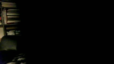 yessex247 online show from April 17, 2026, 1:52 am